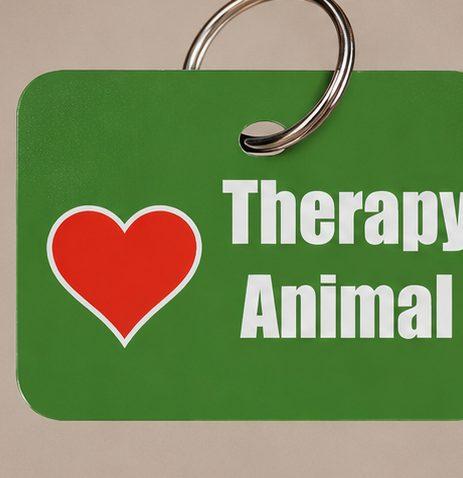 Dog Tag - Therapy Dog