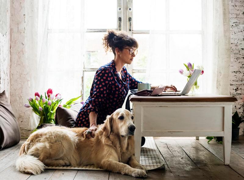 Psychiatric Service Dog Letter