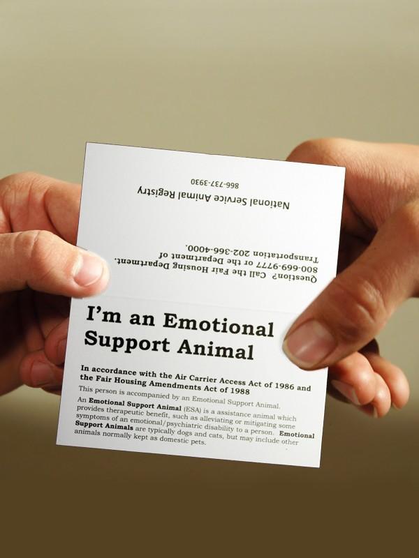 ESA Information Cards