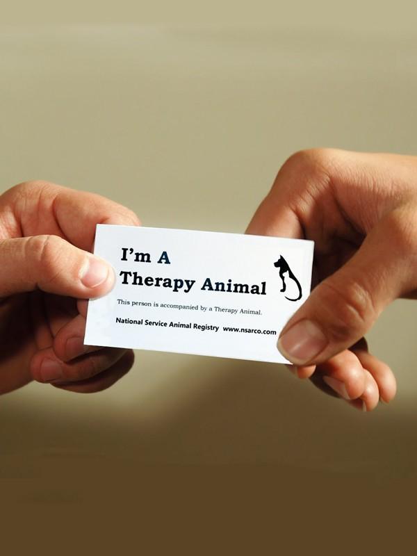 Therapy Animal Information Cards