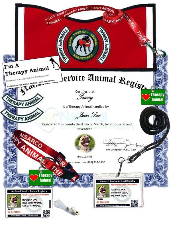 Therapy Animal Registration - Premium Kit
