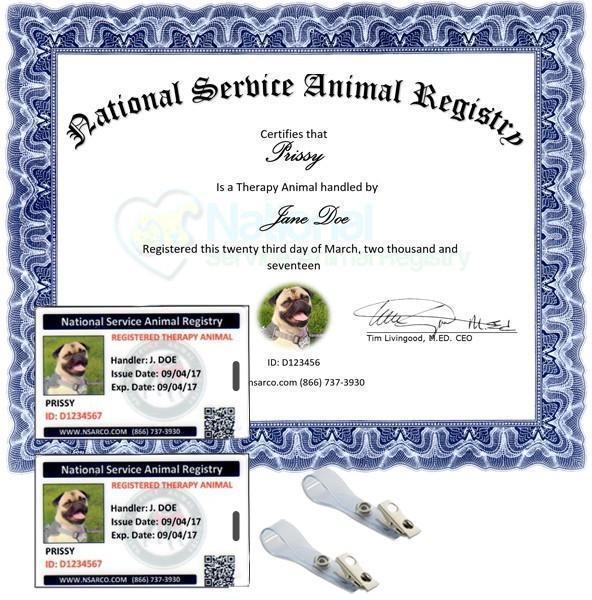 NSAR Therapy Animal Team Membership Renewal