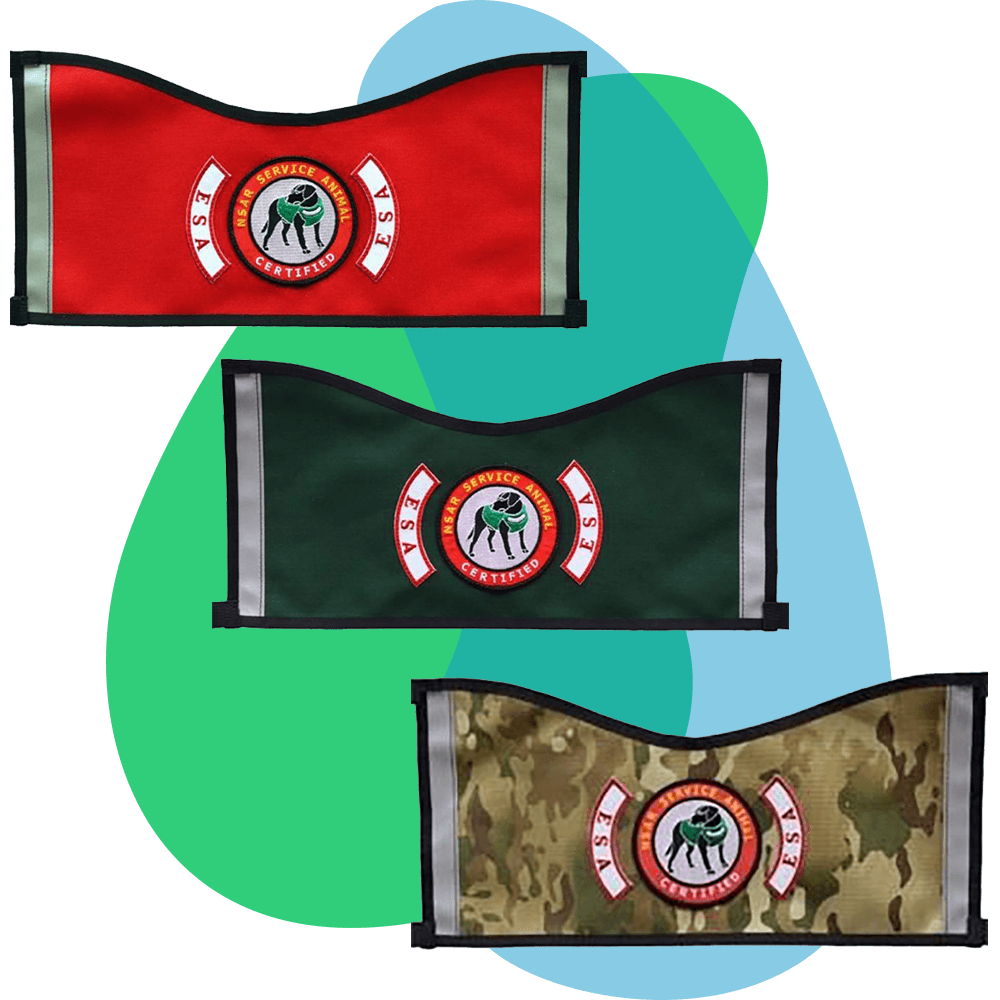 ESA Vests