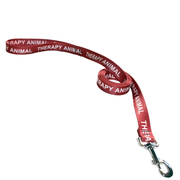 Therapy Animal leash