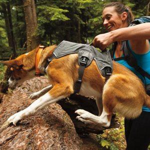 Service Harness - Grey