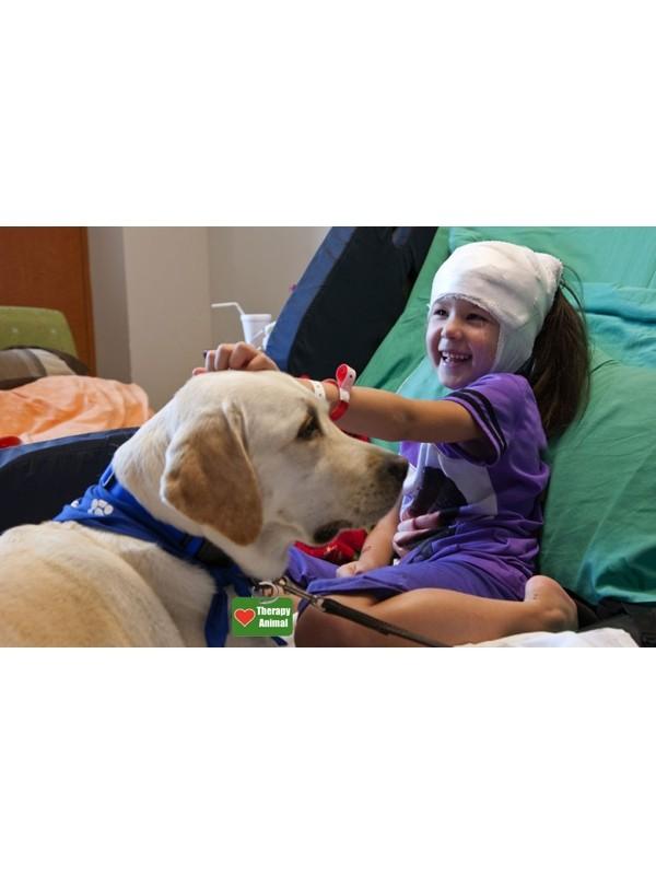 Therapy dog tags cheap