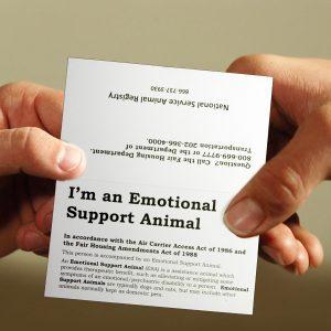 ESA Information Cards