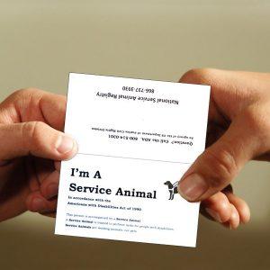 Service Dog Information Cards