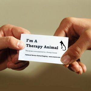 Therapy Animal Information Cards